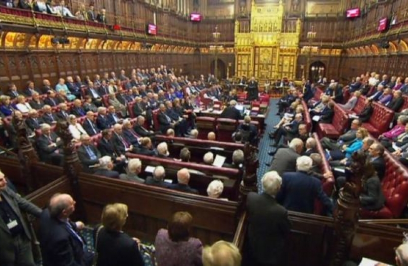 House of Lords voting on the bill